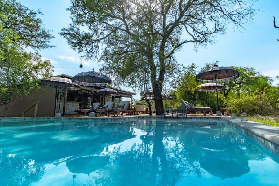 Safari Moon Luxury Bush Lodge Accommodation in Hoedspruit Limpopo